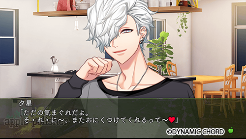 Toi 夕星 DYNAMIC CHORD ダイナー アクパネ Toi 夕星 DYNAMIC CHORD