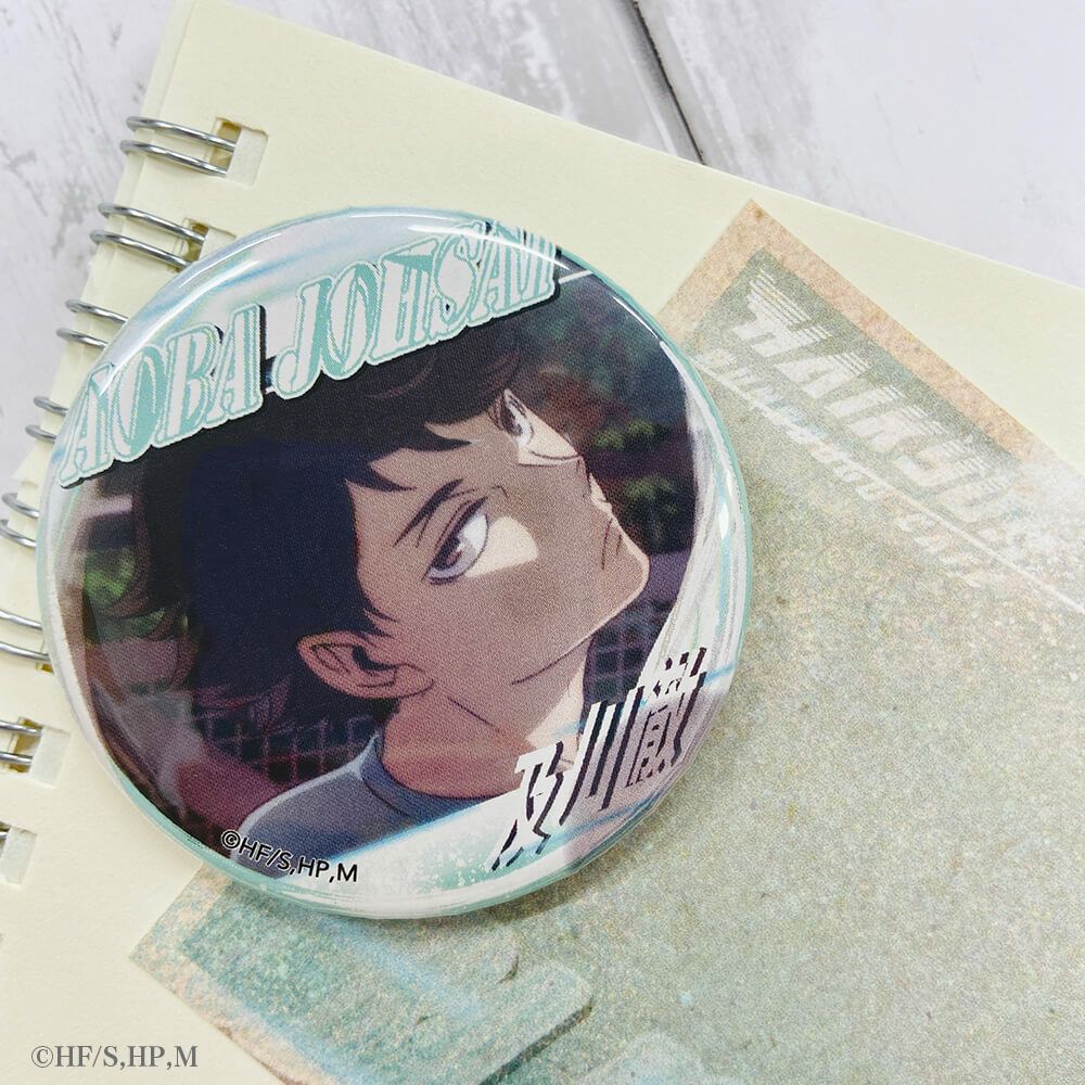 ハイキュー バラエティバック 日向翔陽 影山飛雄 及川徹 缶バッジ 2021