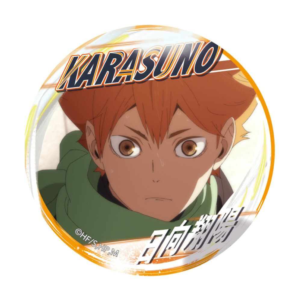 ハイキュー 日向翔陽 コレクション缶バッジ第8弾 25点セット