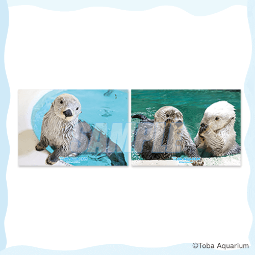 カプくじ×鳥羽水族館 ラッコのメイちゃんくじ リターンズ！ | カプくじ