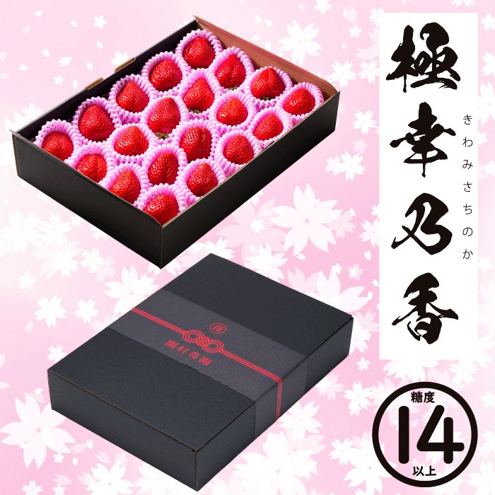 完熟「さちのか」苺を産地直送、一粒一粒真心込めてお届け致します