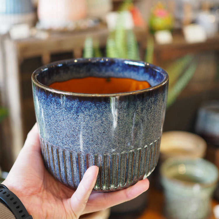 希少色 超特大鉢 中国宜興 黒泥中帯切足長方鉢