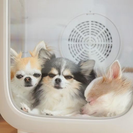 快適空間でやさしく乾燥。PURE PET DRYER HOUSE | PURE（ピュア）公式