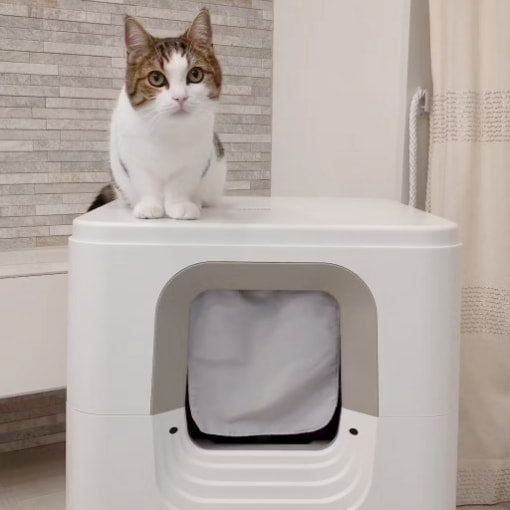 24時間全自動でお掃除 PURE CAT AUTO TOILET | PURE（ピュア）公式