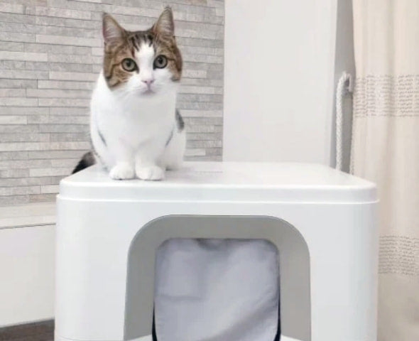 レンタルプラン】24時間全自動でお掃除 PURE CAT AUTO TOILET | PURE