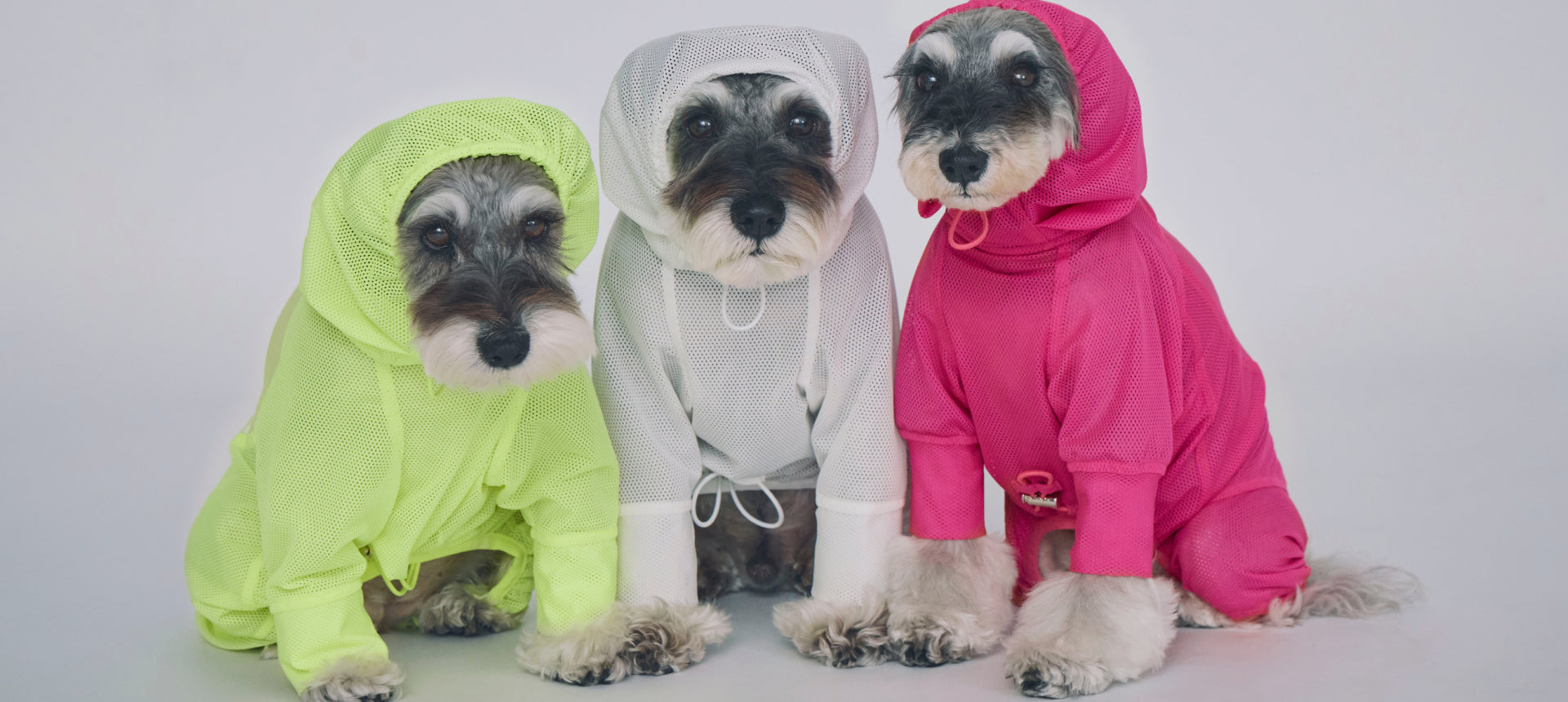 STANDING ON THE BLUE 公式オンラインショップ STANDING ON THE BLUE