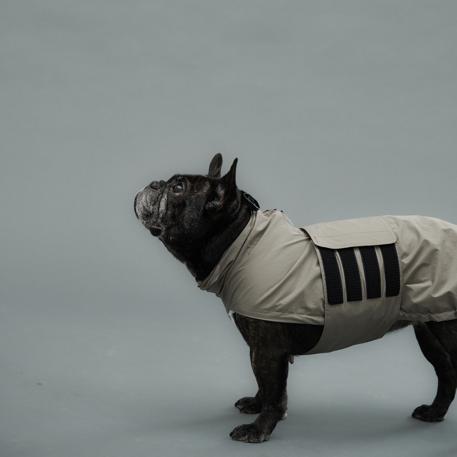 LITE RAIN COAT – Gris