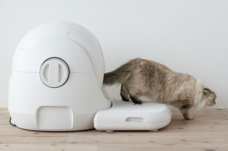 どっちを買うべき？徹底比較！大人気自動猫トイレCATLINK SCOOPER『PRO