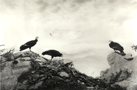 杉本博司 SUGIMOTO 限定ポスター『ハイエナ、ジャッカル、コンドル