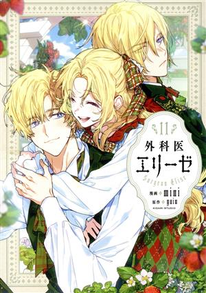 匿名配送】外科医エリーゼ 1〜14巻＋外伝上下巻 全巻セット【送料無料】