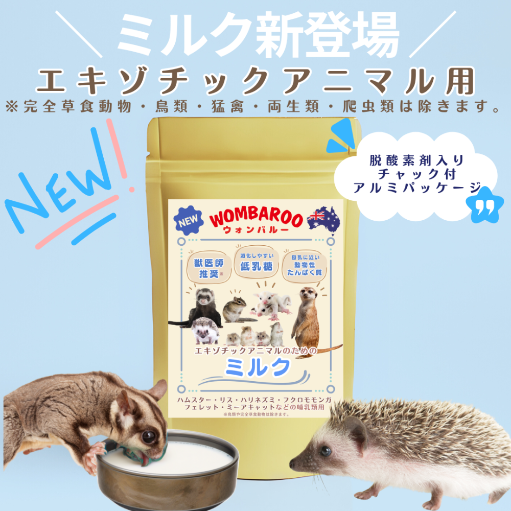💛フクロモモンガ飼育用品 モモンガミルク販売中🍼 | フクロモモンガ