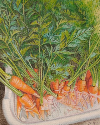 色鉛筆画｜湘南モールカルチャーセンター｜湘南モールフィル店、藤沢市