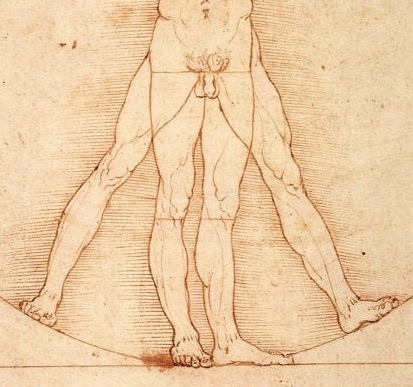 ダ・ヴィンチのウィトルウィウス的人体図をわかりやすく解説 | DaVinci