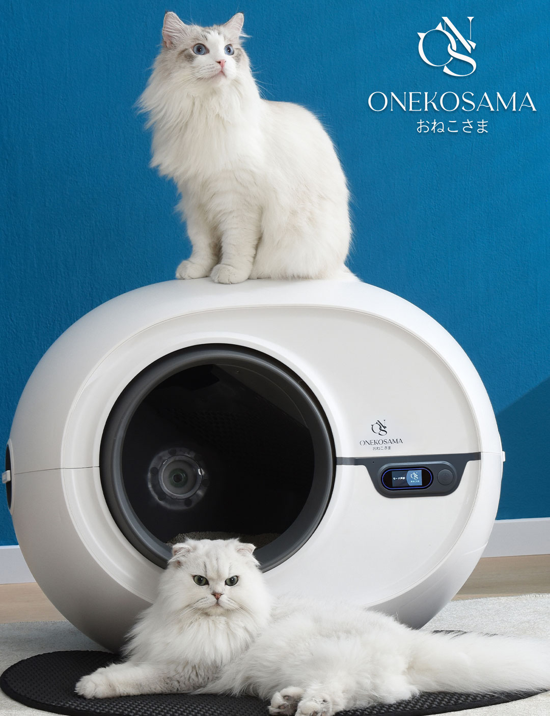 mst様専用 自動猫トイレ 未使用品 2026年最新】全自動猫トイレ