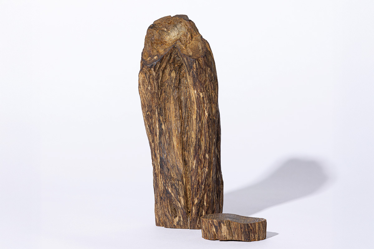 インド産 天然古白檀 特大香木 原木 自然体 山形香木置物 古香木 重量