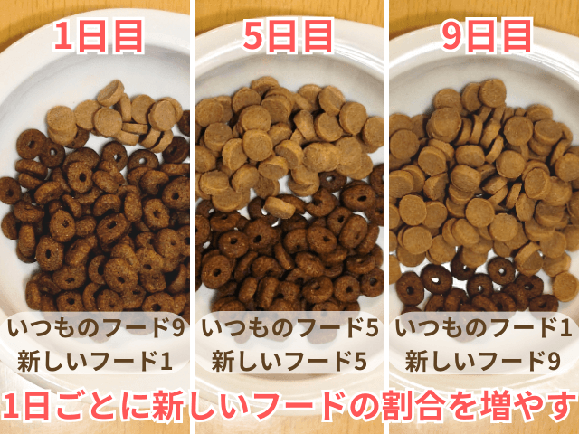 全328商品】おすすめドッグフードを徹底比較！安全安心な犬の餌は？