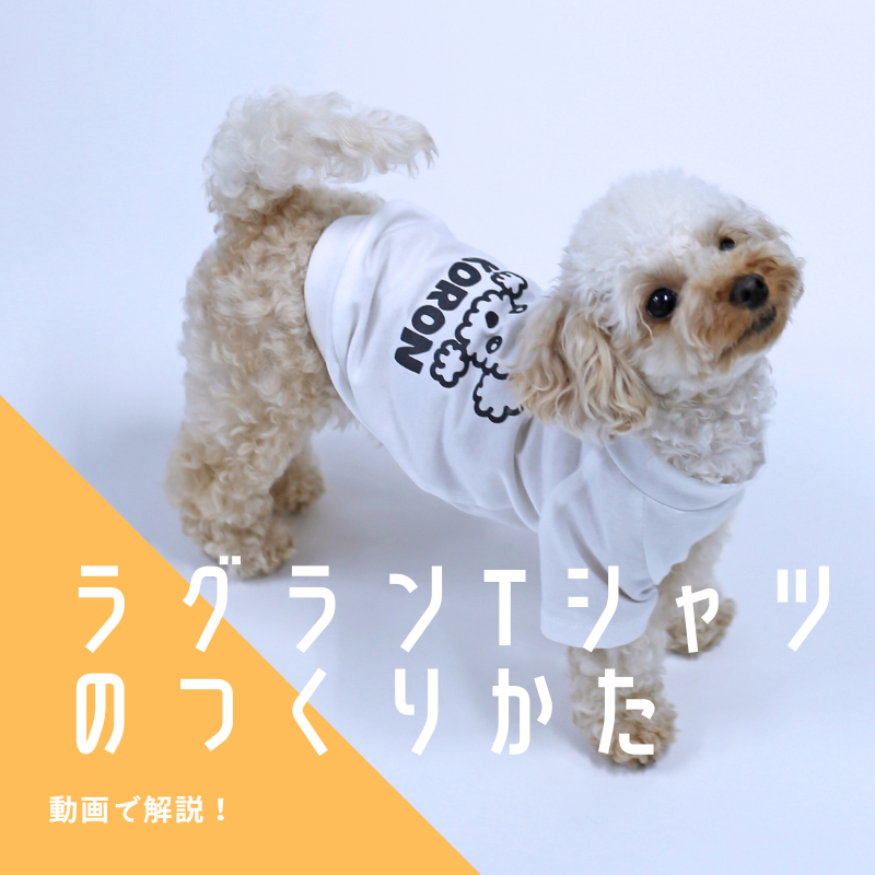 犬服 ＊Lemon＊ ハンドメイド 楽天市場】犬 服 春夏秋 フレンチ