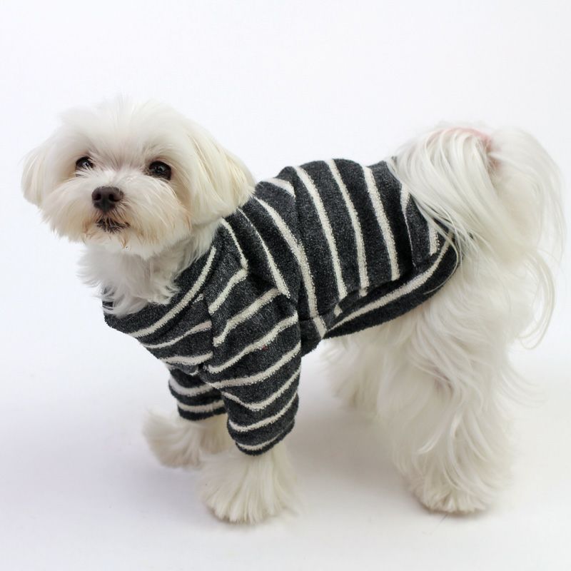 犬服 ラグラン(L) ꒡̈⃝Lily꒡̈⃝ハンドメイド 【公式通販】