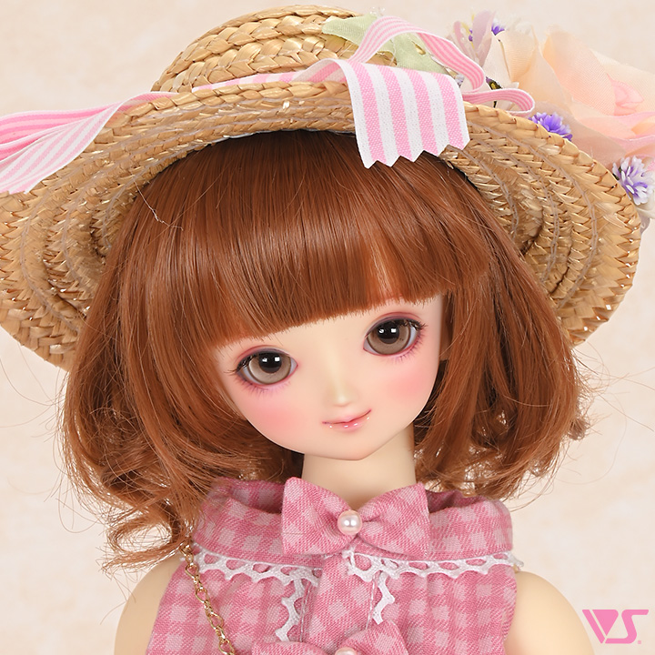 ディーラー専用 SD里帰りサービス | ドルパポータル | ボークス公式