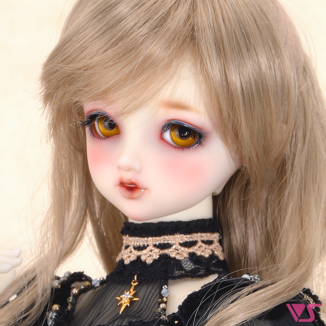 ディーラー専用 SD里帰りサービス | ドルパポータル | ボークス公式