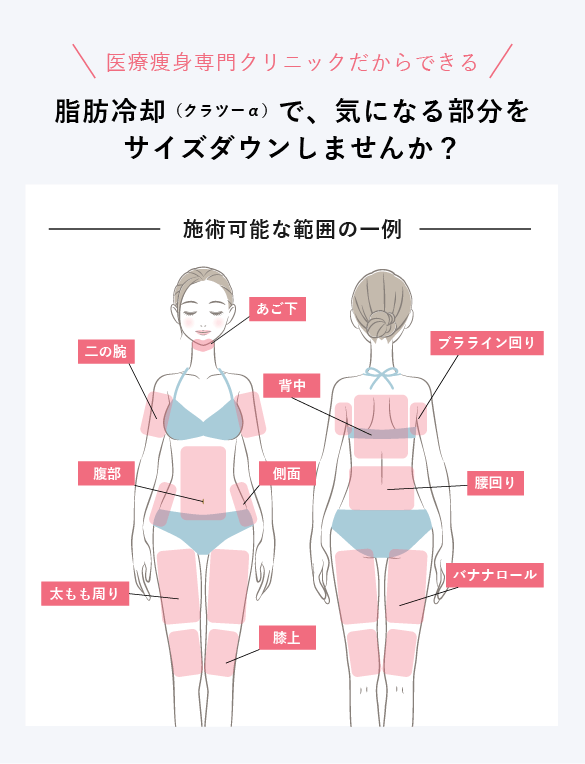 お腹用小プローブ 脂肪冷却 お腹用小プローブ 脂肪冷却 クールテック｜し