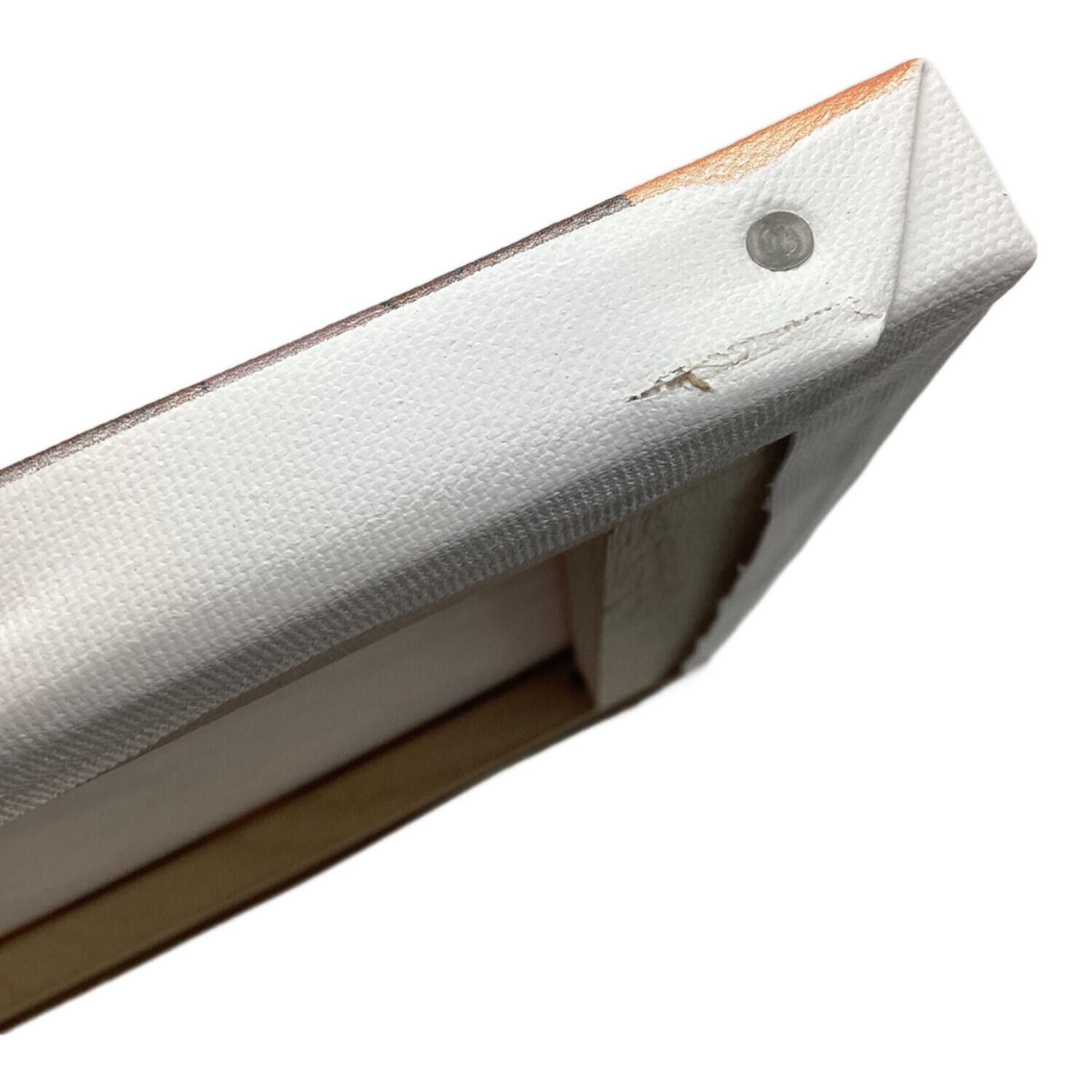 FAIRY TAIL（フェアリーテイル）キャンバスアート 版画展 ナツ