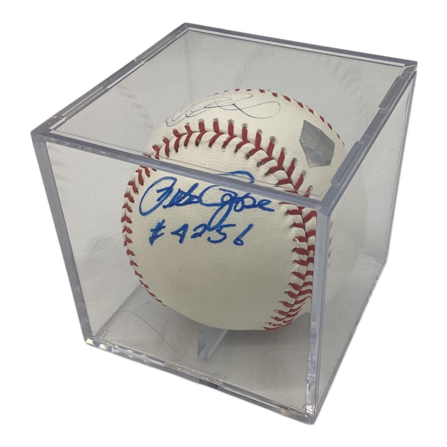 カイト様。イチロー杯争奪学童野球大会 サインボール(プリント) 9個