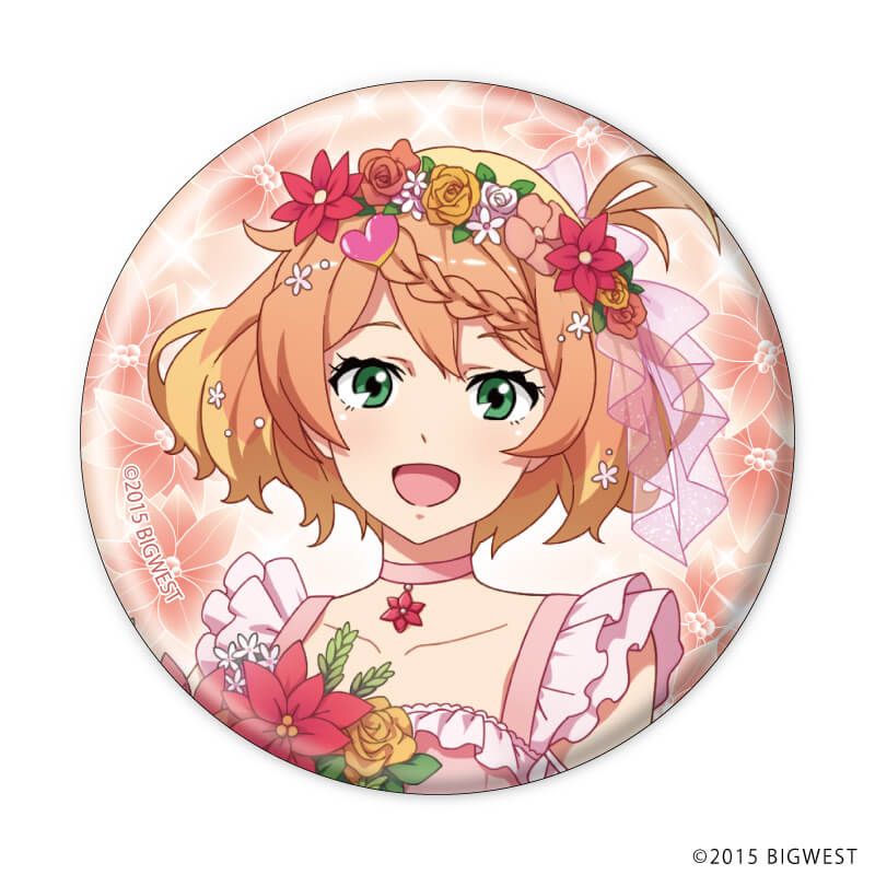 AX2025 マクロス オールスター 缶バッジ カナメ ワルキューレ ⑫