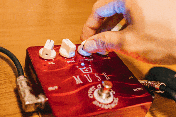 Shigemori MUSE レビュー！これ以上ないくらい完成された素晴らしい歪み