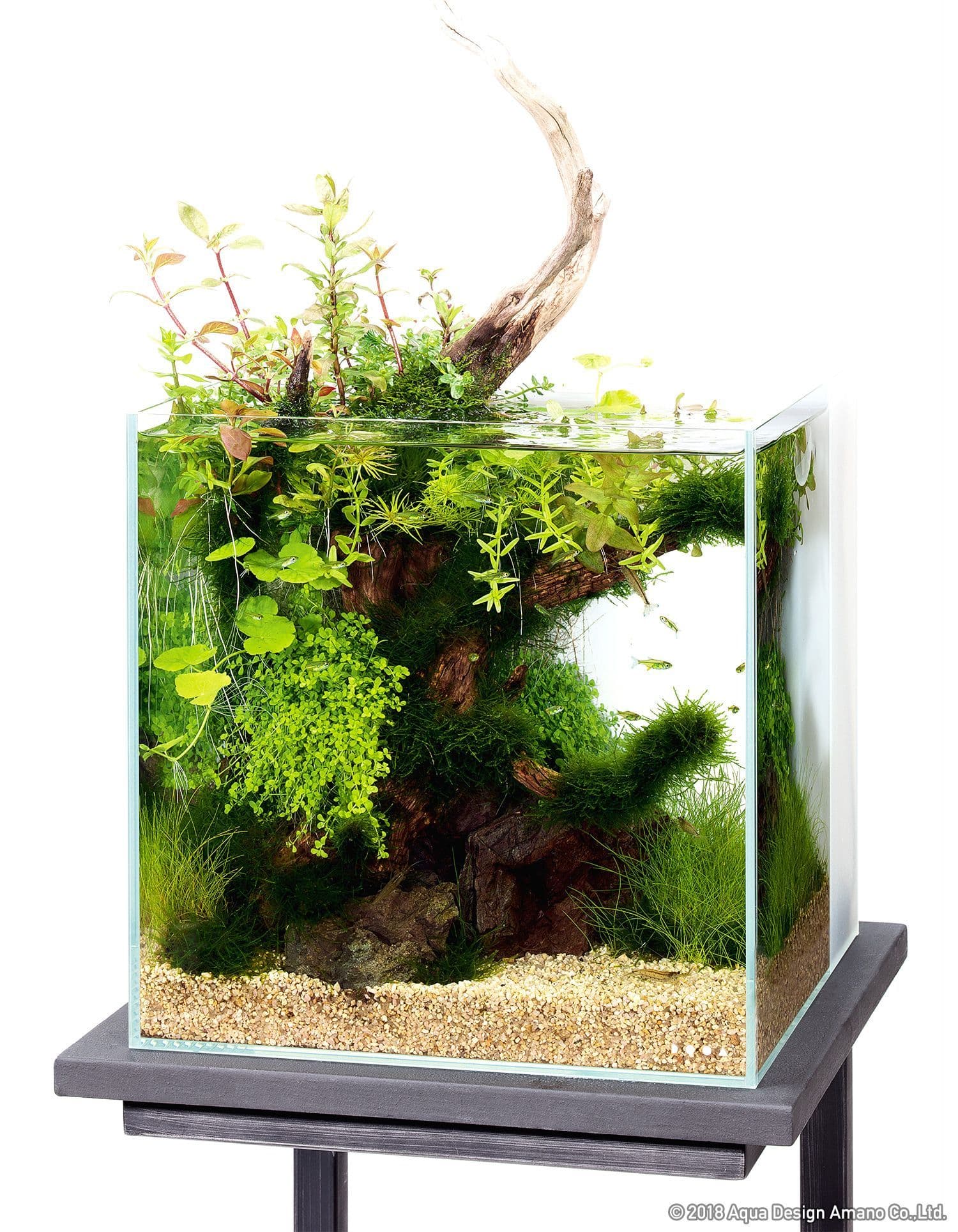 dooa システムアクア30 【公式通販】