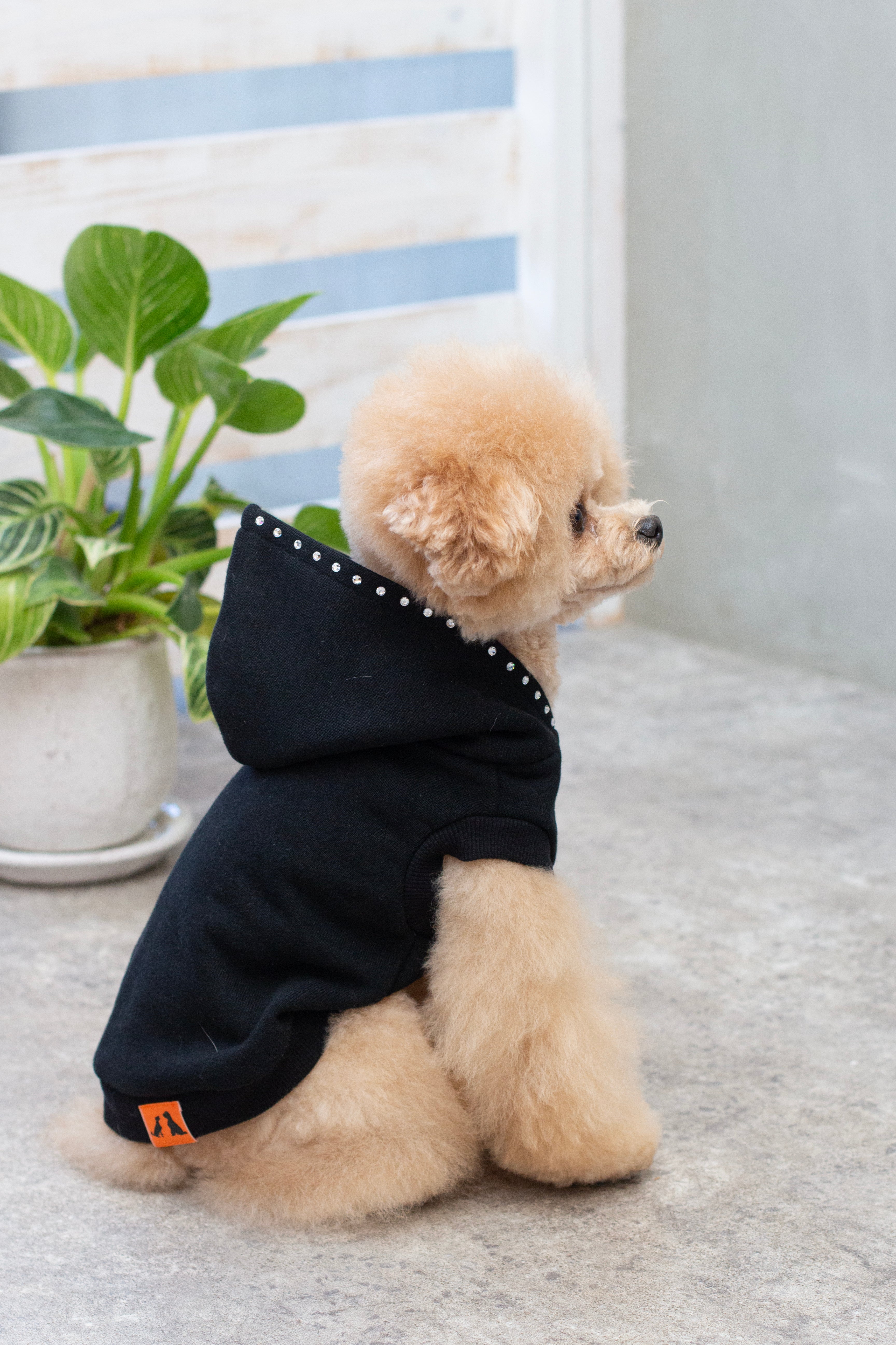 ブラックパーカー／フードライン – Forest Tokyo