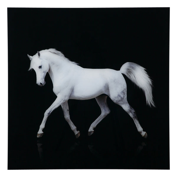 フランフラン 白い馬 現代アート作品 アクリルアート 白馬 フランフラン