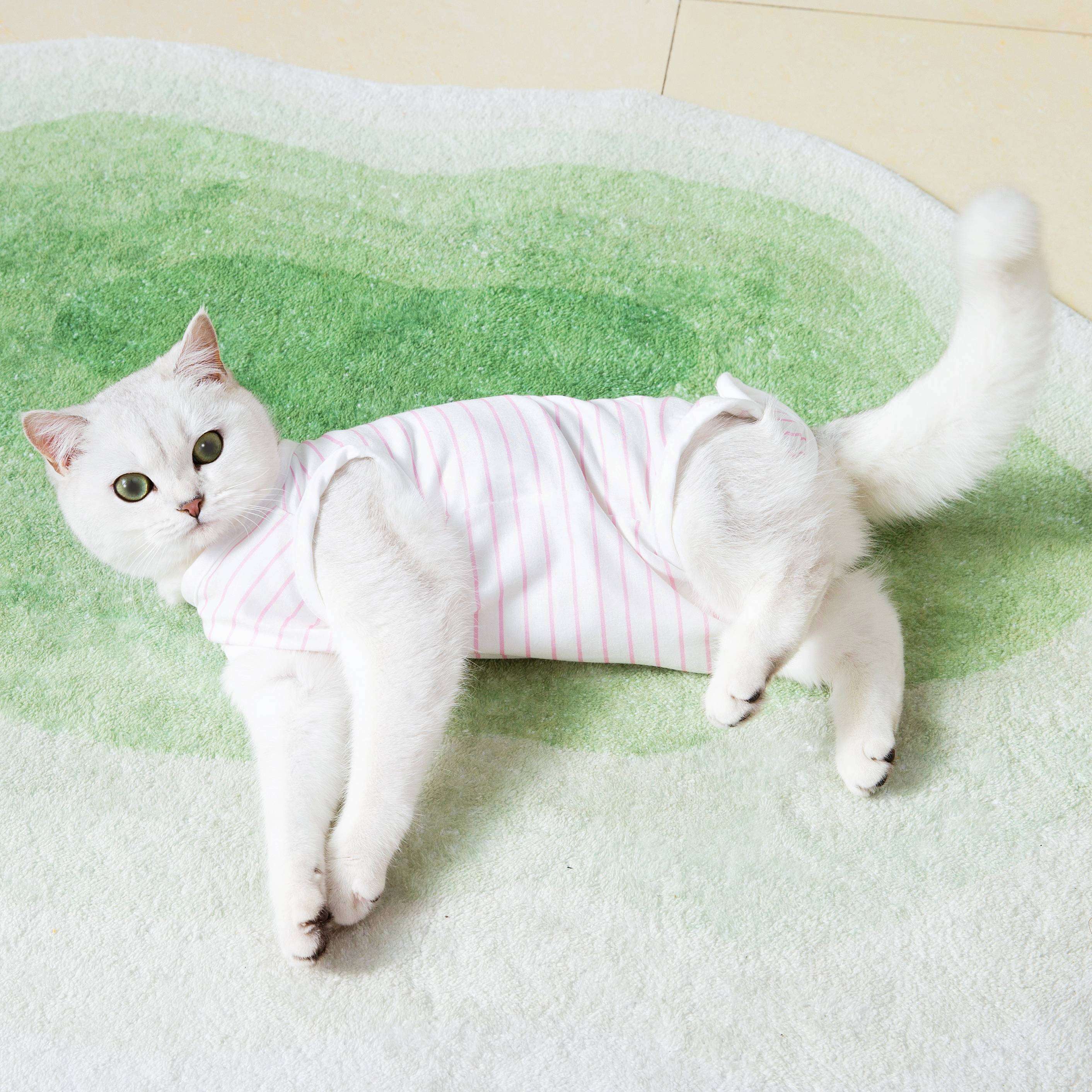 メスオス兼用】も猫ちゃんが安心できる、猫の術後服おすすめ10選 - 猫
