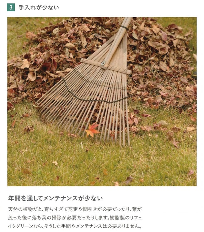 リフェイクグリーン 「モンステラ FUV 」H1500mm 専用鉢H150 φ180