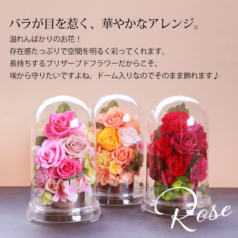 プリザーブドフラワー ドーム型 グランドーム 母の日 ギフト