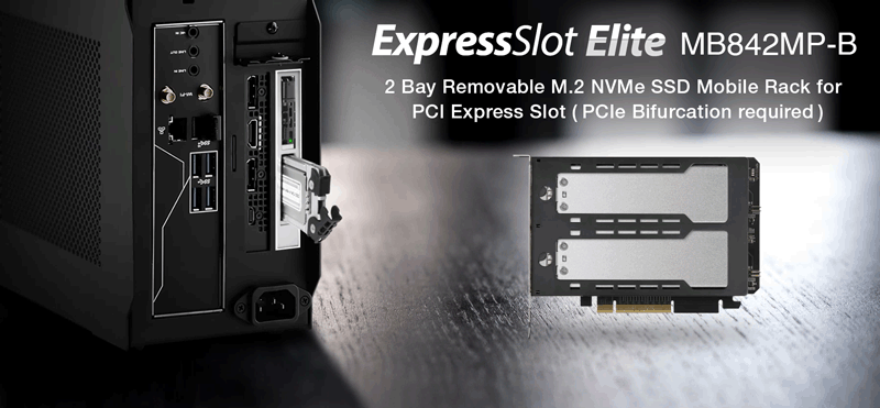 MB842MP-B_Removable 2 Bay M.2 NVMe SSD to PCIe 4.0 x8 Mobile Rack