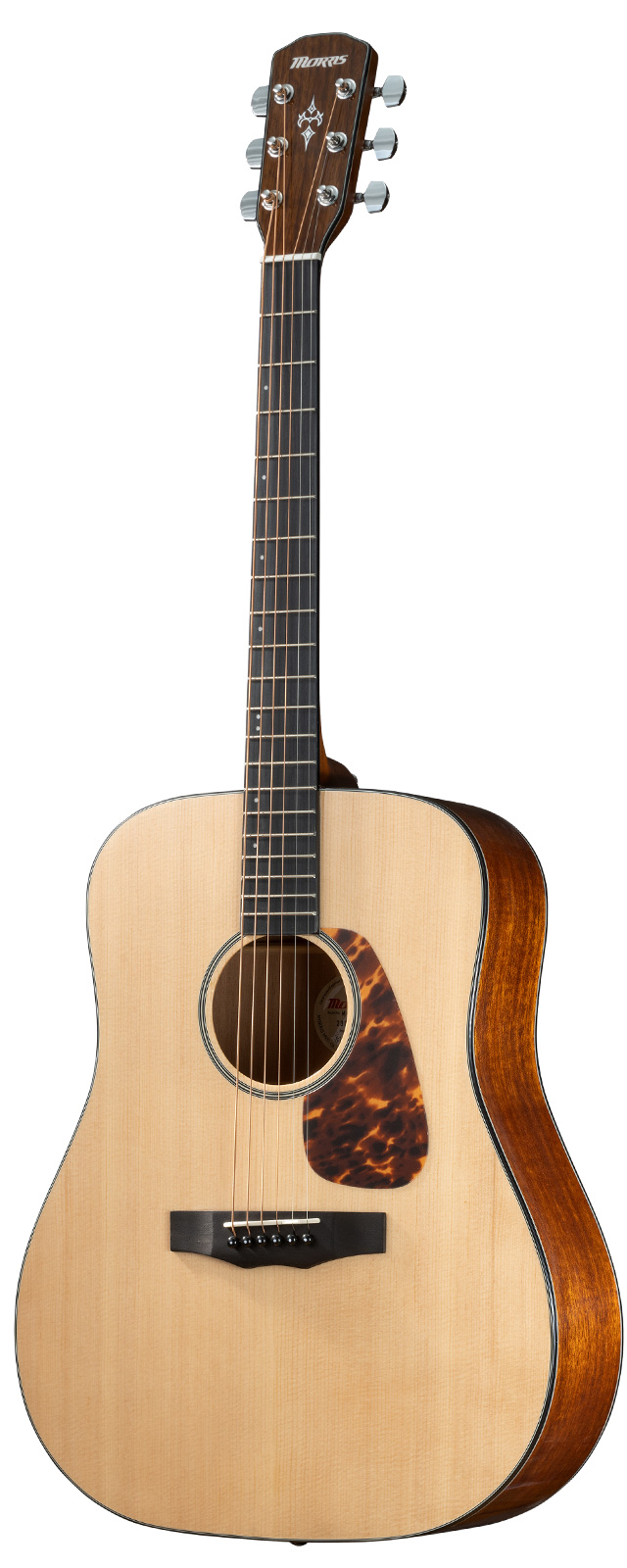 Morris MV-705 & Martin ハードケース Morris MV-705 & Martin ハード