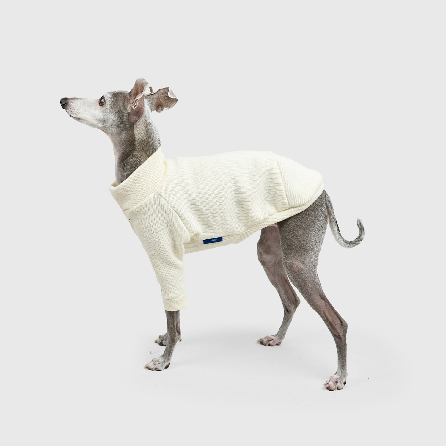 Howly Official Online Shop | New Standard for Dogs | MADE IN JAPAN
