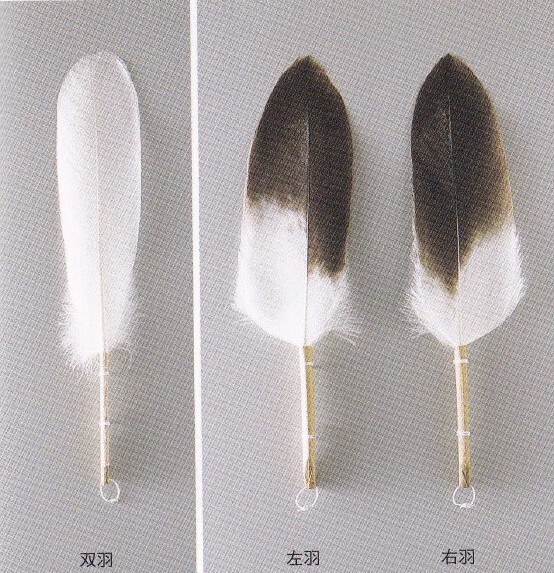 No.77「茶の湯の羽箒」 | 茶道裏千家淡交会青年部北海道ブロック