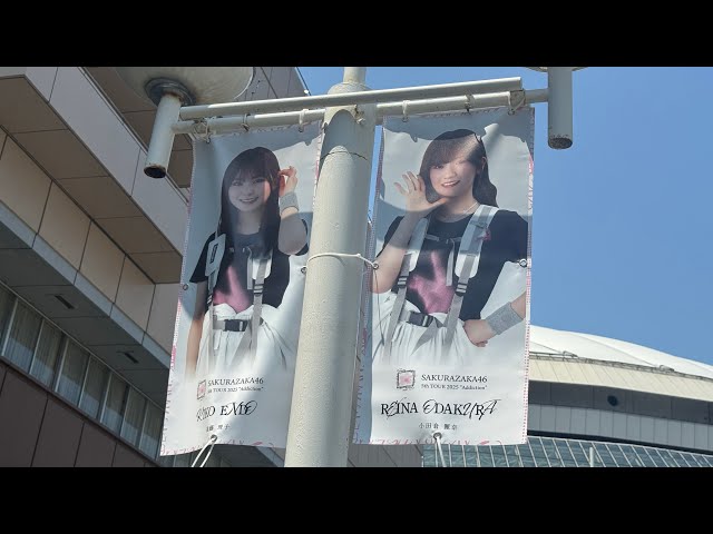 限定価格】櫻坂46 小田倉麗奈さん 生写真 66コンプ+1 限定価格】櫻坂46