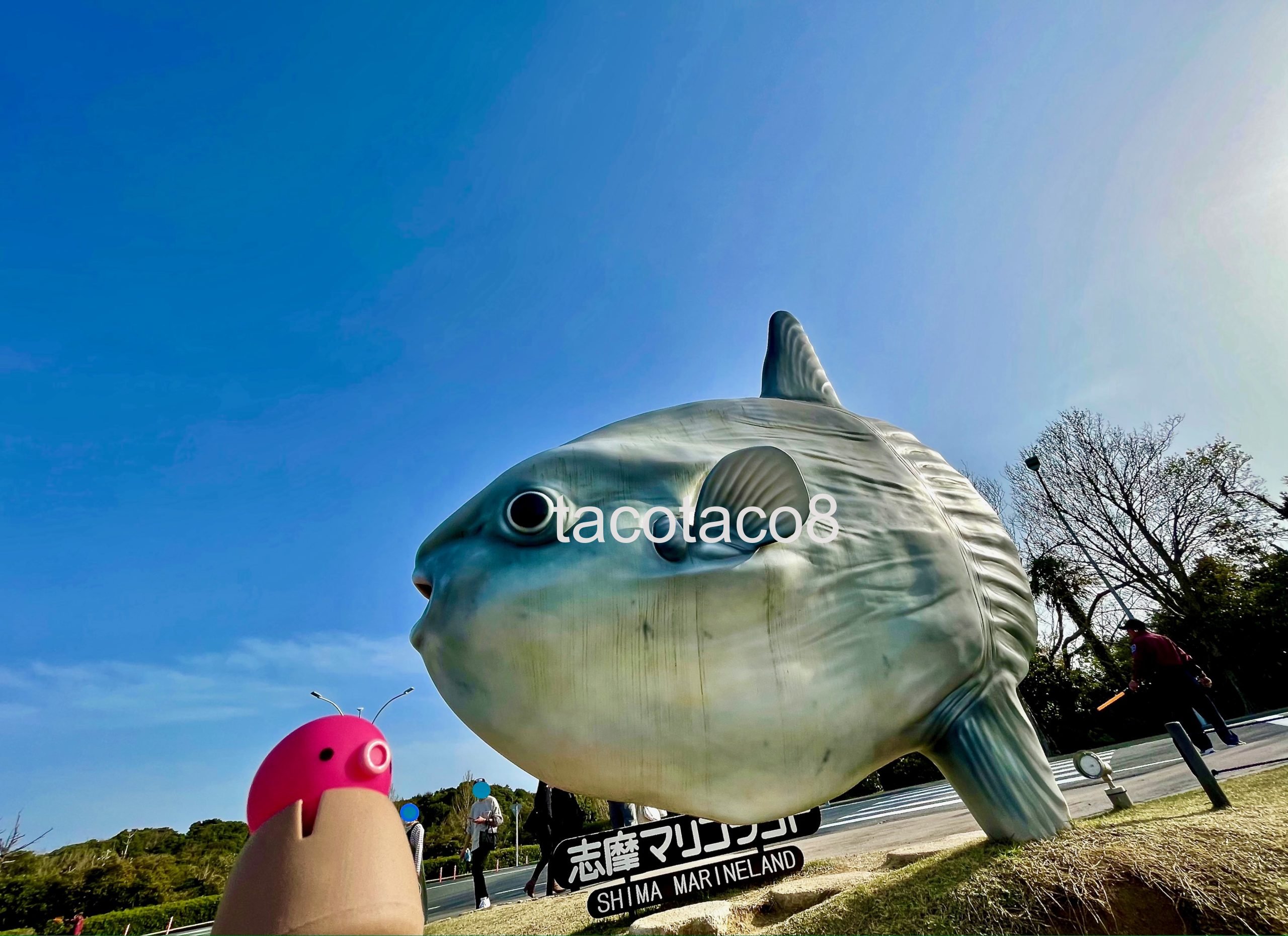 志摩マリンランド – tacotaco8