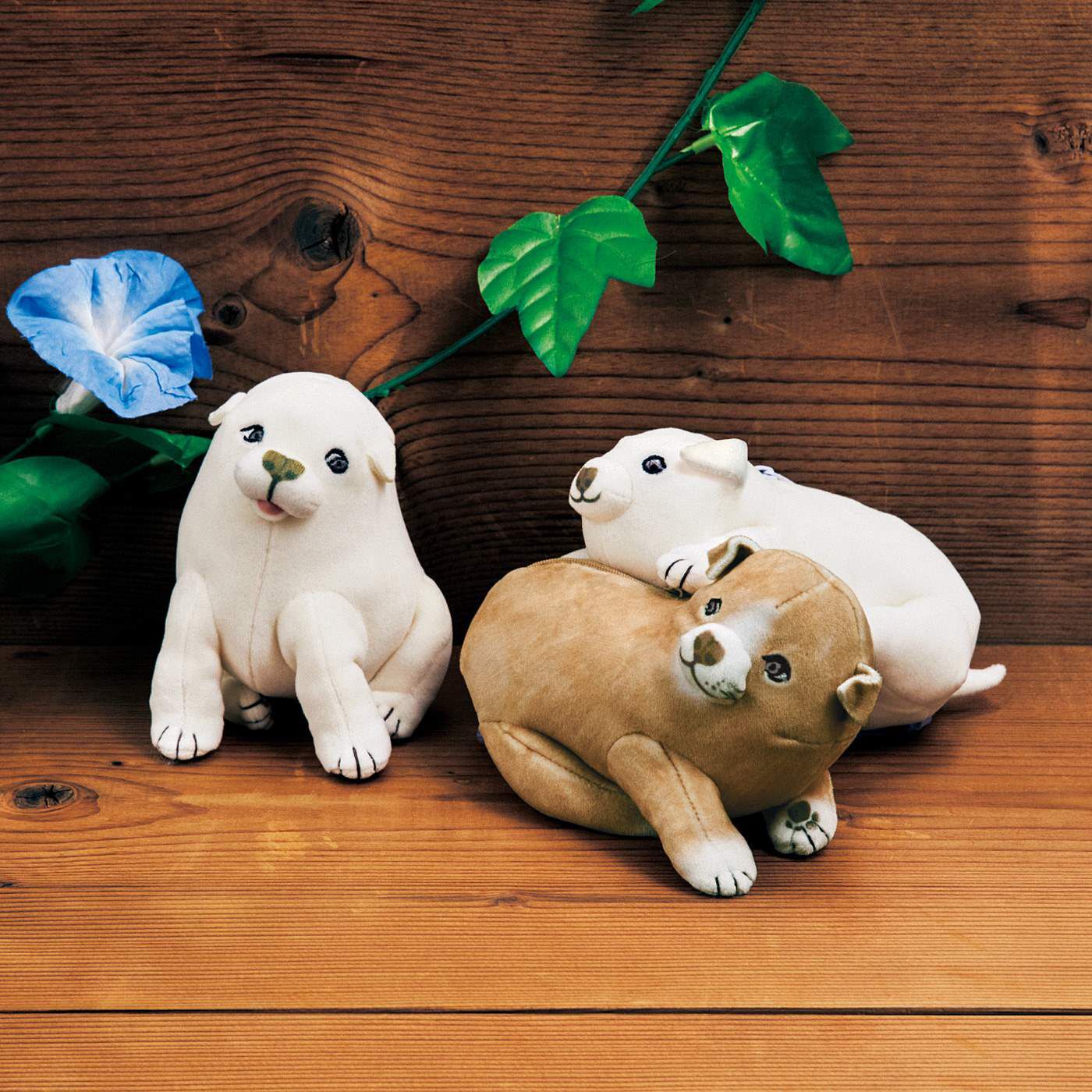 博物馆部江户狗在 Okyo Inu Pouch Association 一起玩耍 | FELISSIMO