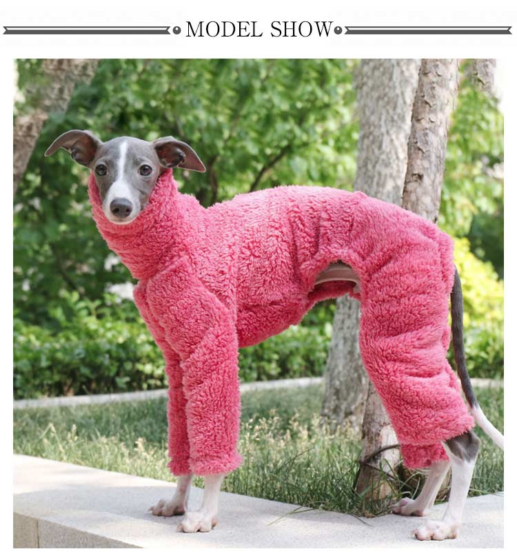 楽天市場】イタグレ 服 L イタリアン オールインワン 2XL ウィペット