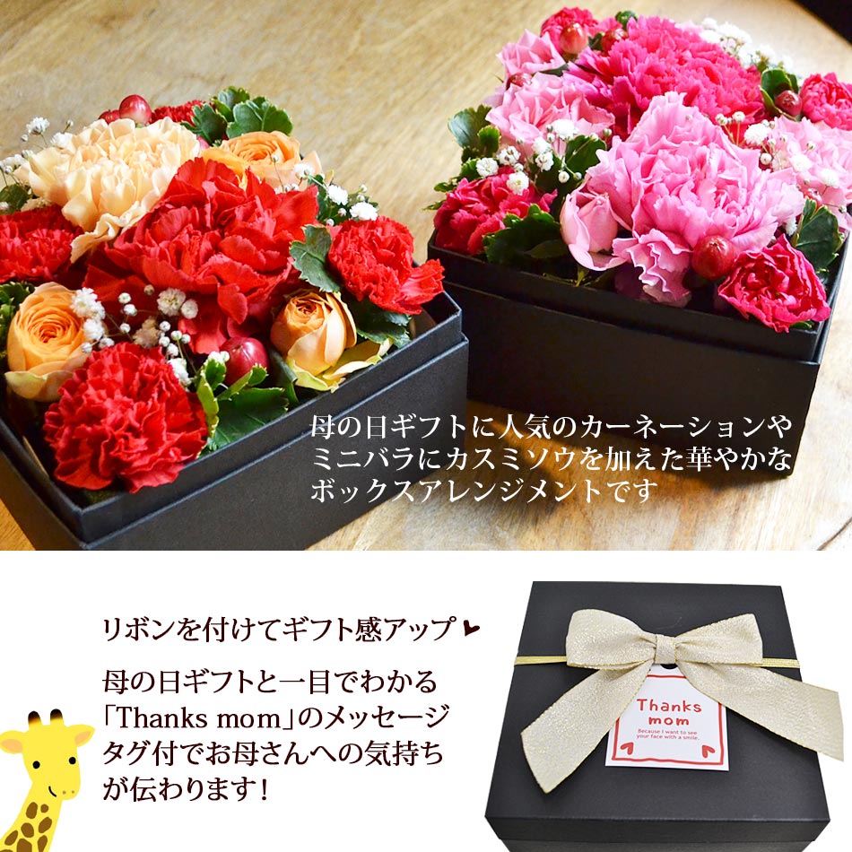 パイロゲン900ml ×6本入 箱未開封 フラワープレゼント応募券入 【公式