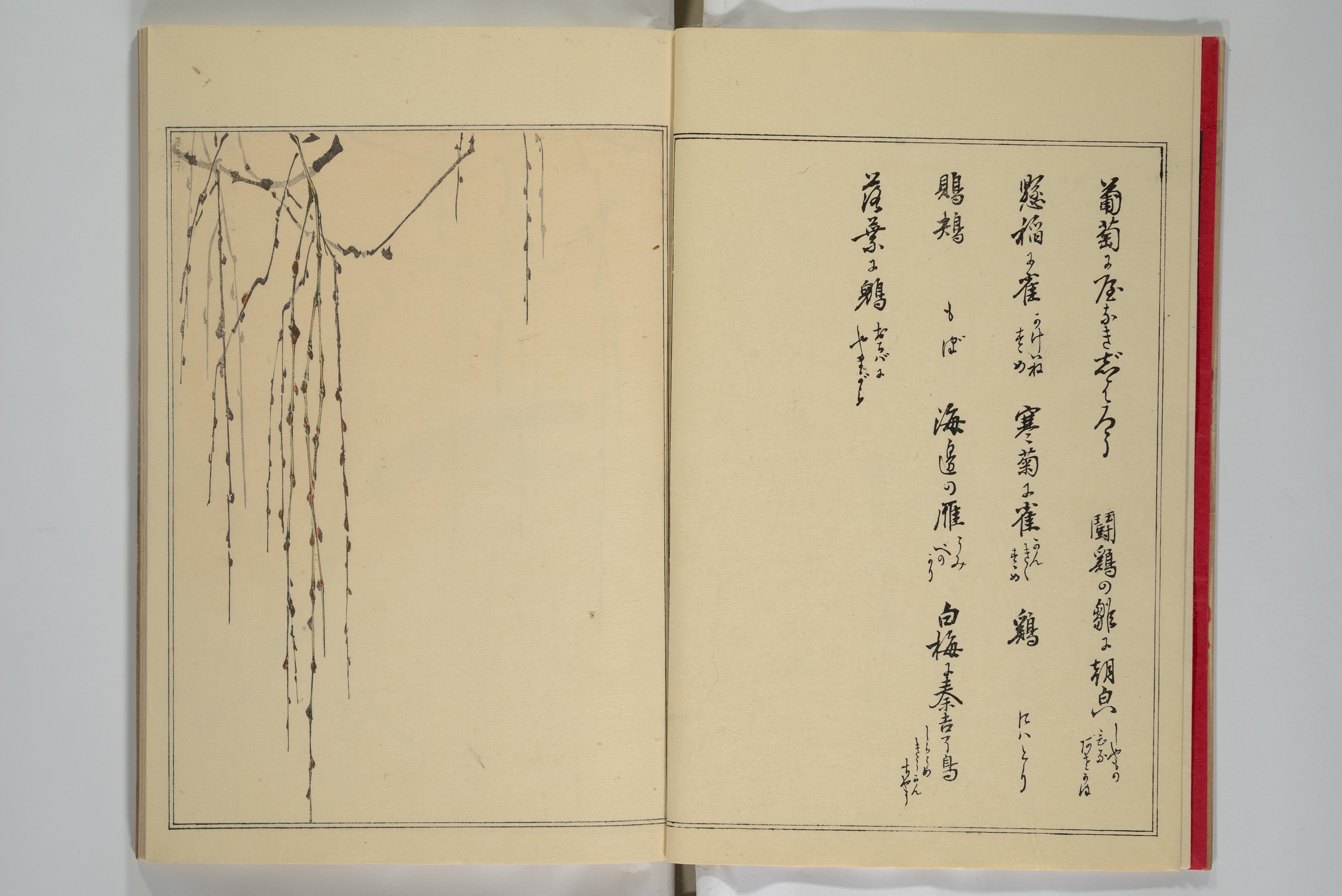 福士千裕直筆絵画□カオスラウンジ一輪社黒瀬陽平梅沢和木藤城嘘村上隆