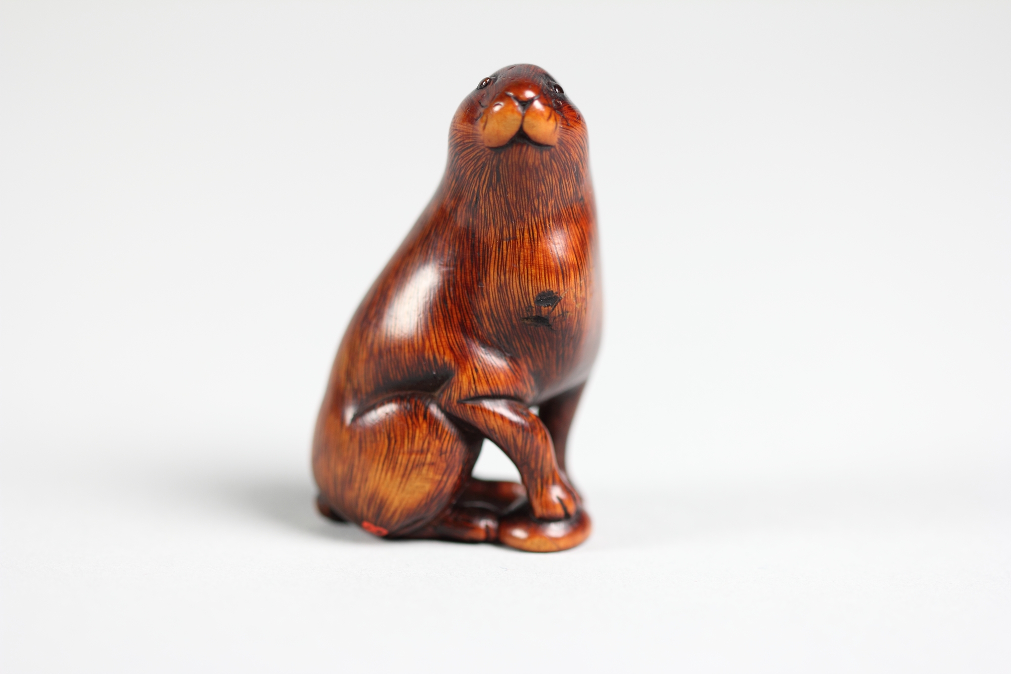 Netsuke of Rabbit - Japan - Edo (1615–1868) or Meiji period (1868