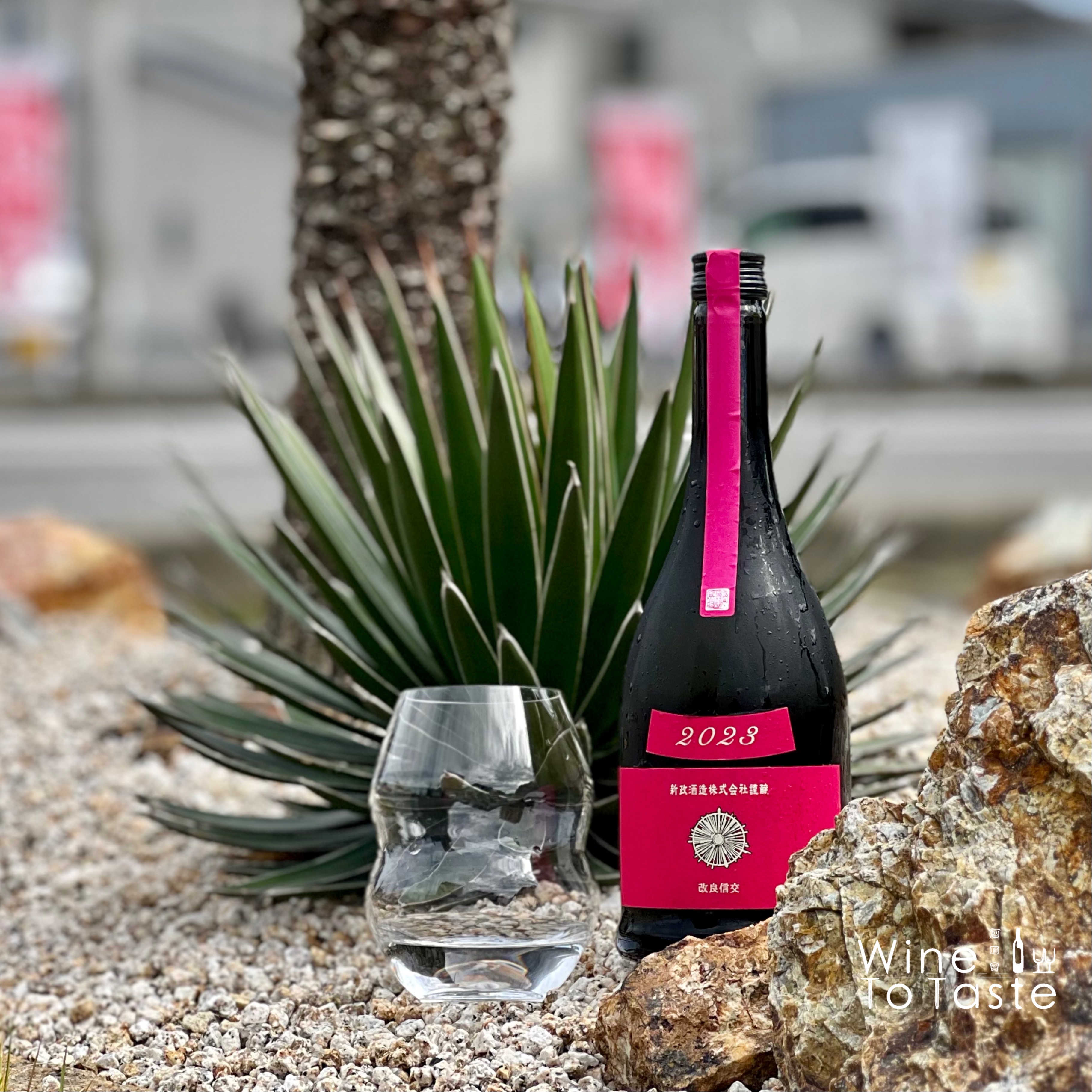 新政秋櫻Cosmos - 改良信交(Colors) 2024 - 720ml | Wine To Taste