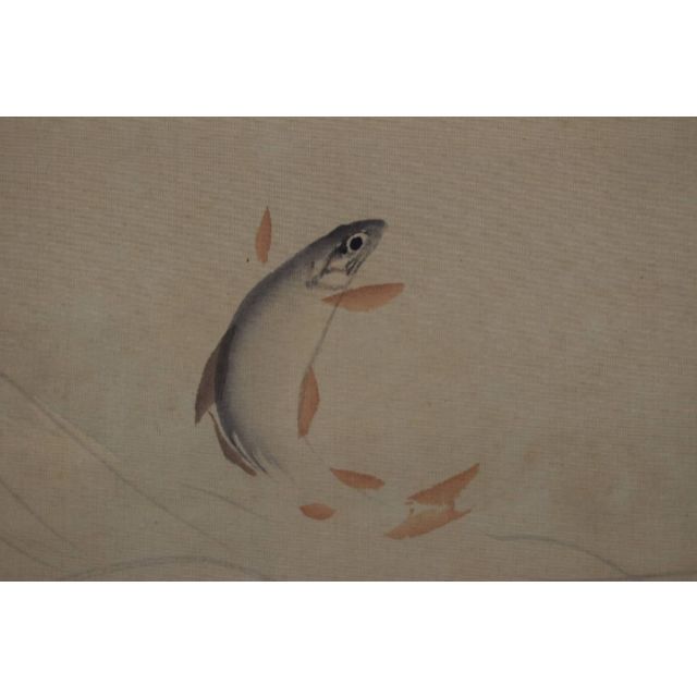 真作】若林松渓/松渓谷/鮎之図/楓枝登鮎図/掛軸☆