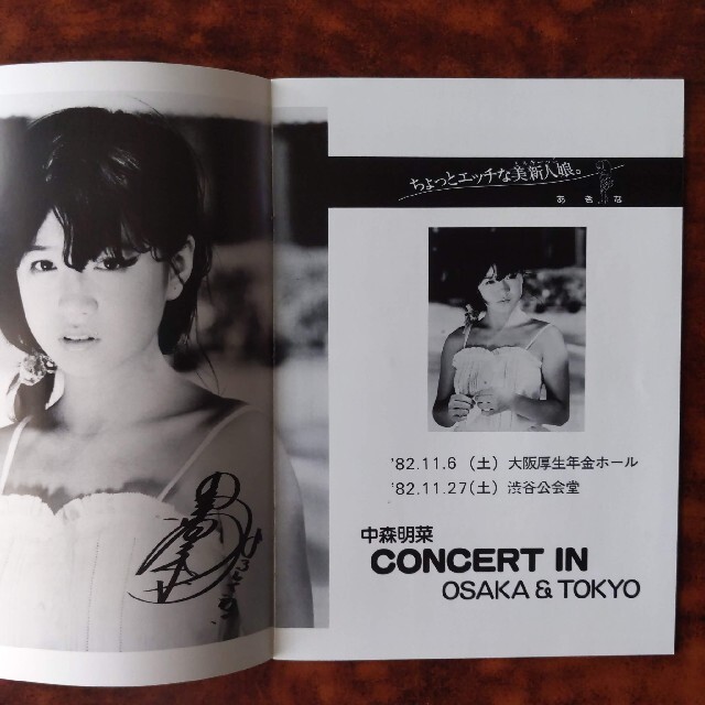 中森明菜 BITTER & SWEET パンフレットコンサート半券