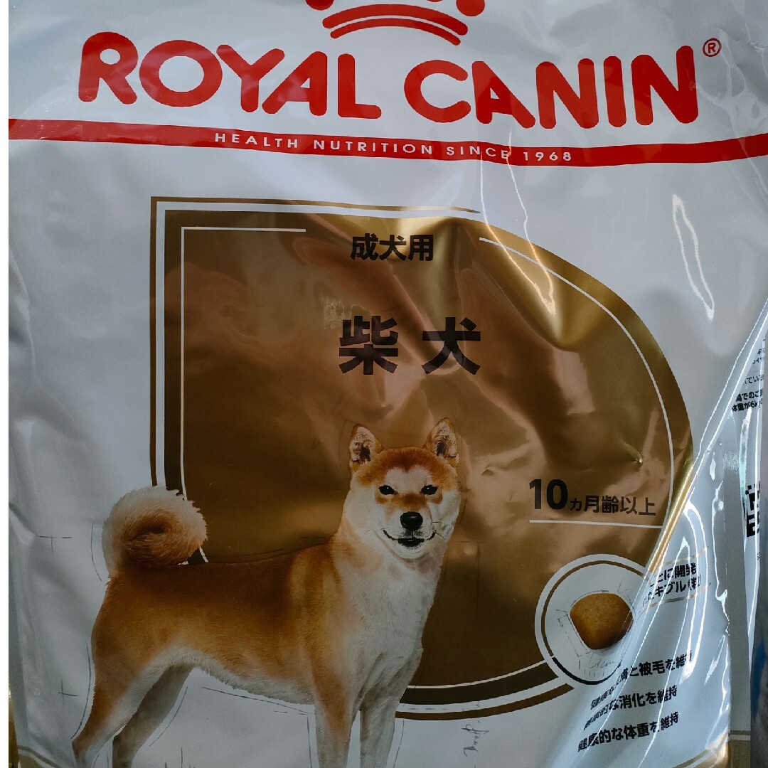 ROYAL CANIN マキシアダルト大型犬用 大粒16キロドライフード ROYAL